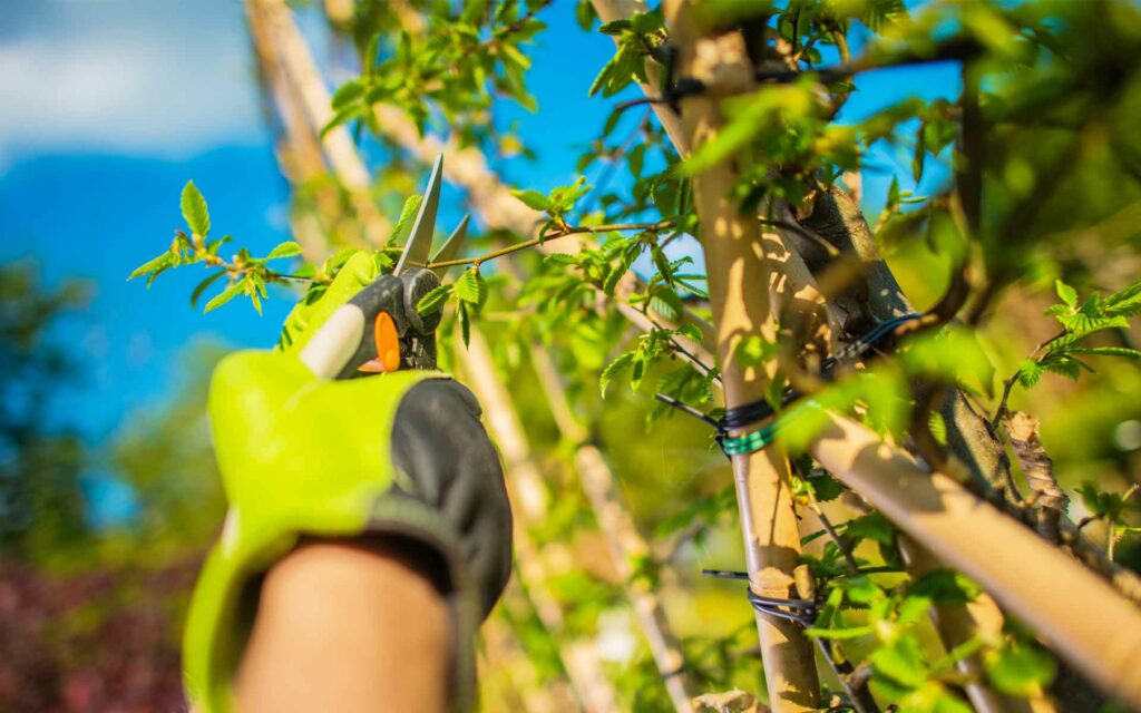 Entretien des jardins et des espaces-verts